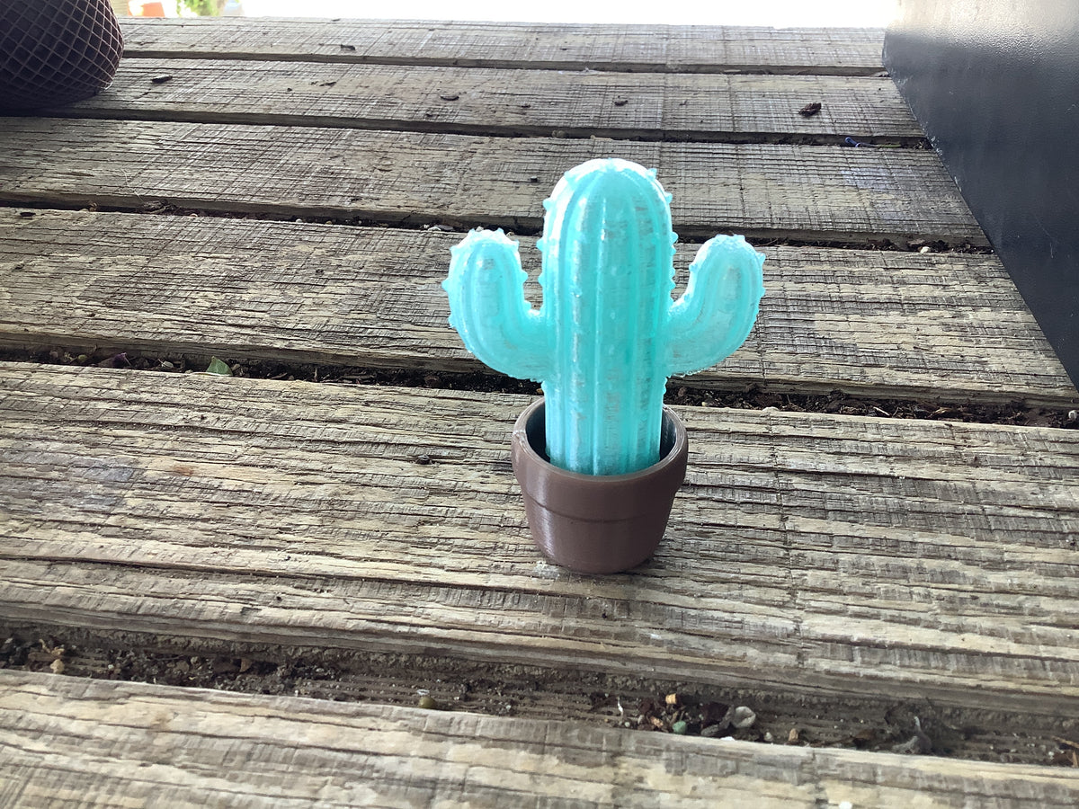 Cactus fidget clicker