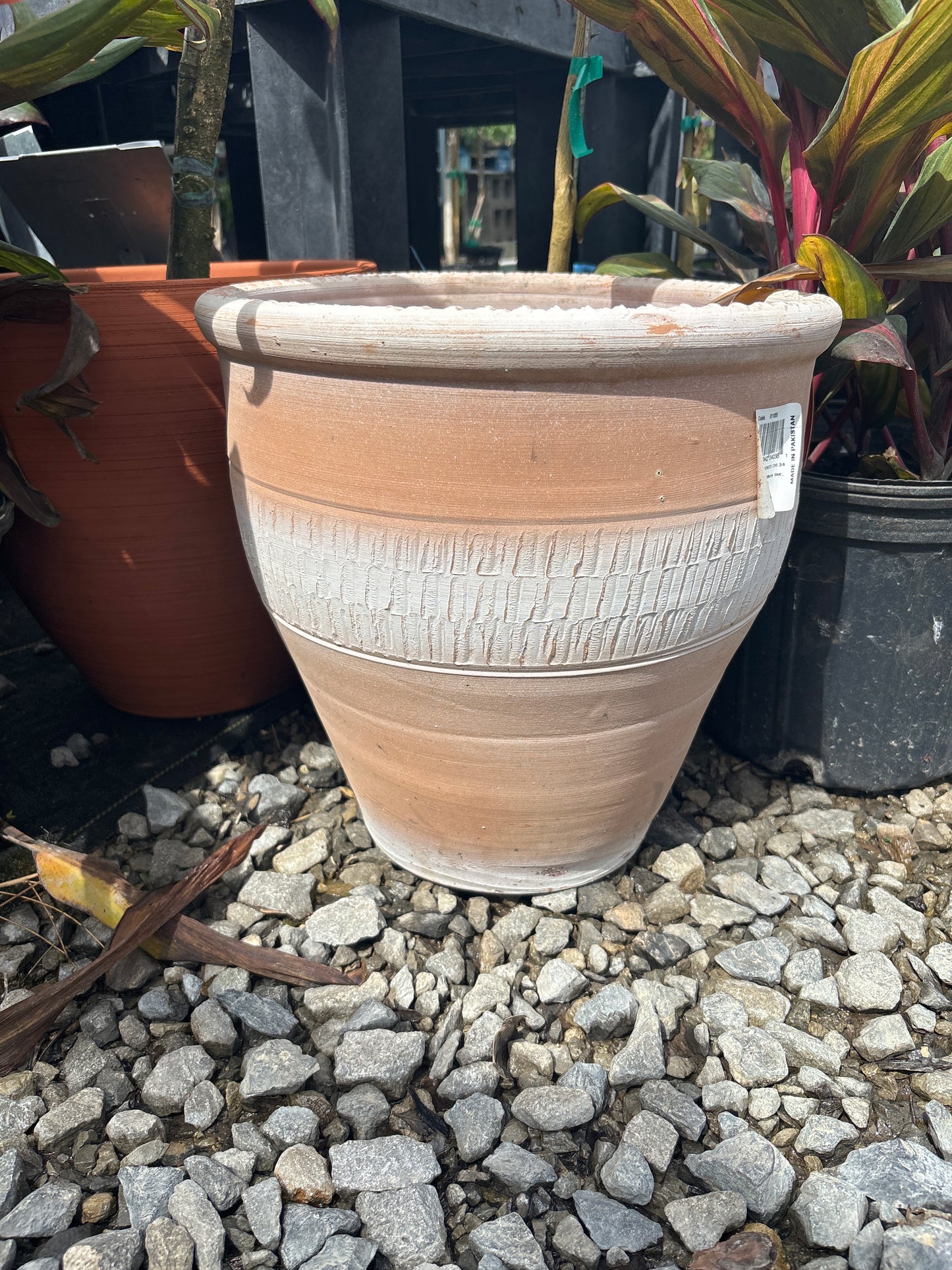 13” Pakistani Caliente Planter