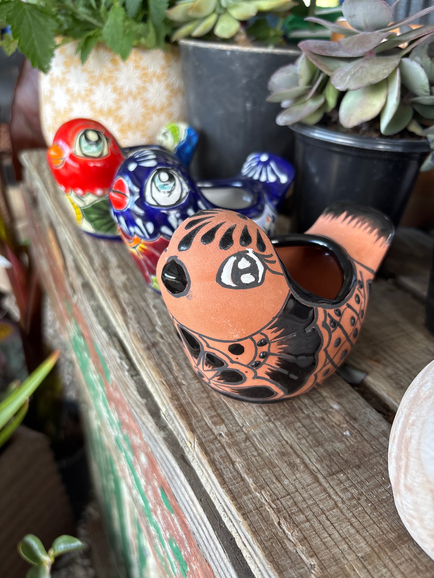 Bird mini pot