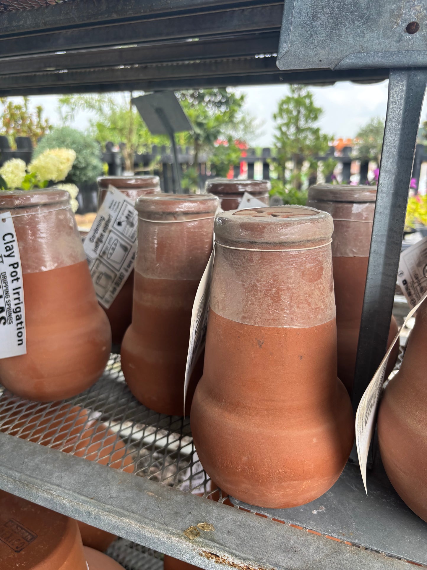 Small Clay Ollas