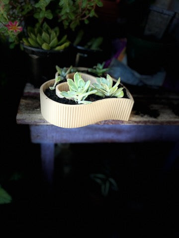 Heart Planter