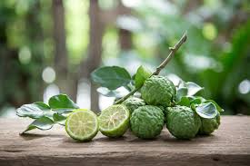 Kaffir Lime