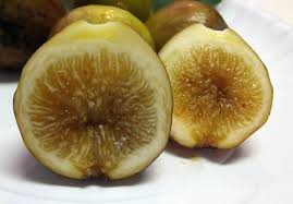 Alma Fig