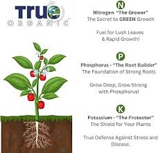 True Organic All Purpose Plant Food