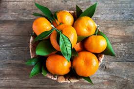 Clementine Mandarin Tree