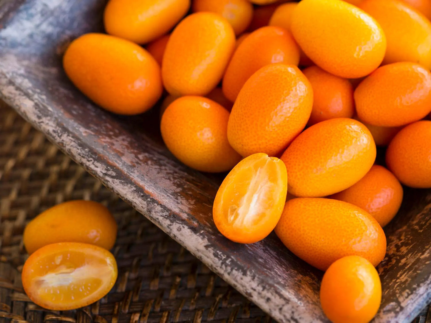 Nagami Kumquat Tree Live Citrus 2–3 ft Tall
