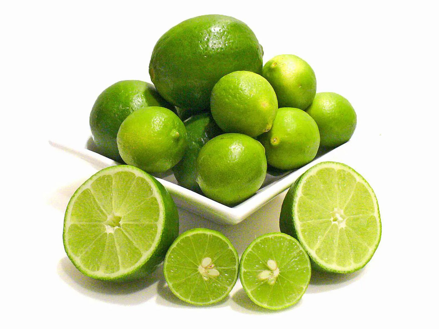Persian Lime Tree 2–3 Ft Tall Live Citrus Plant