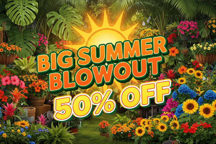 Sale!