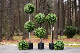 Topiary