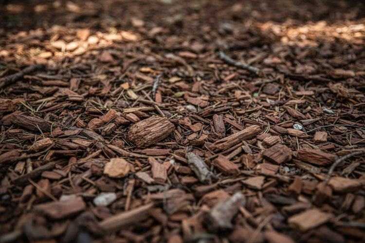 Soil, Compost, Mulch
