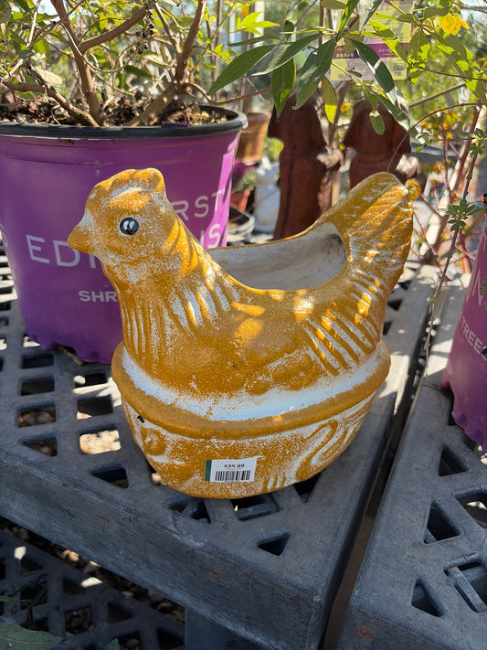 Small Clay Chicken Pot