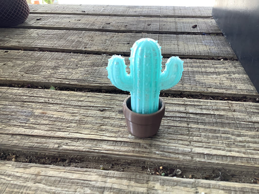 Cactus fidget clicker
