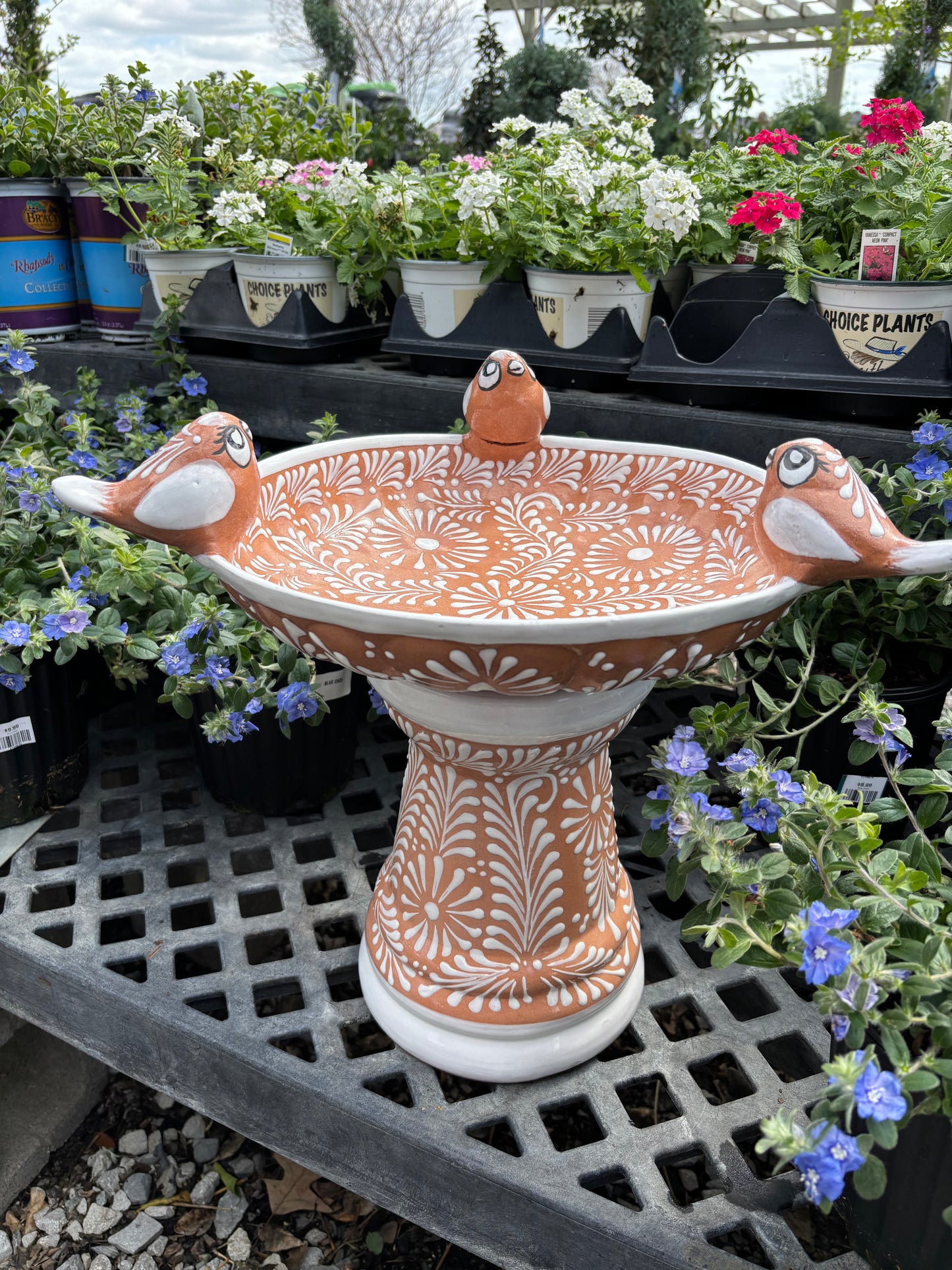 Small Bird Bath