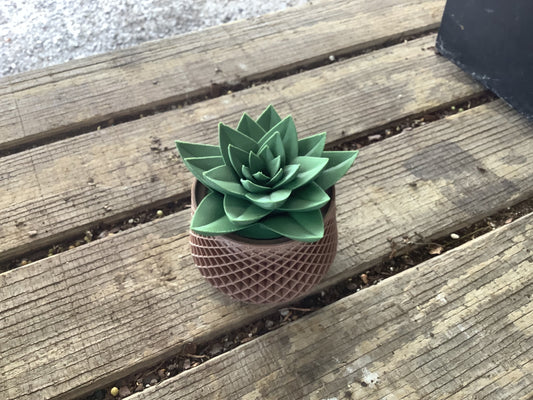 Fake succulent container