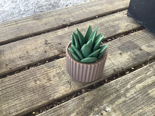Fake succulent container
