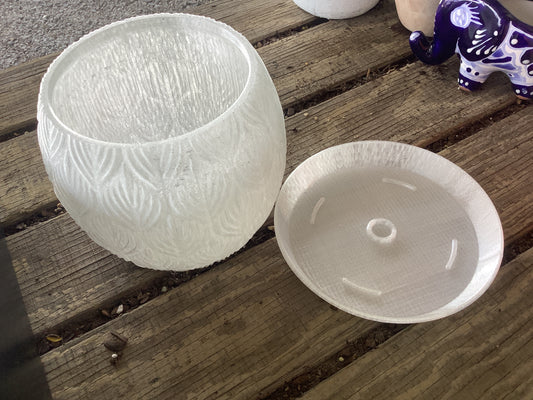 Transparent planter w/drip tray