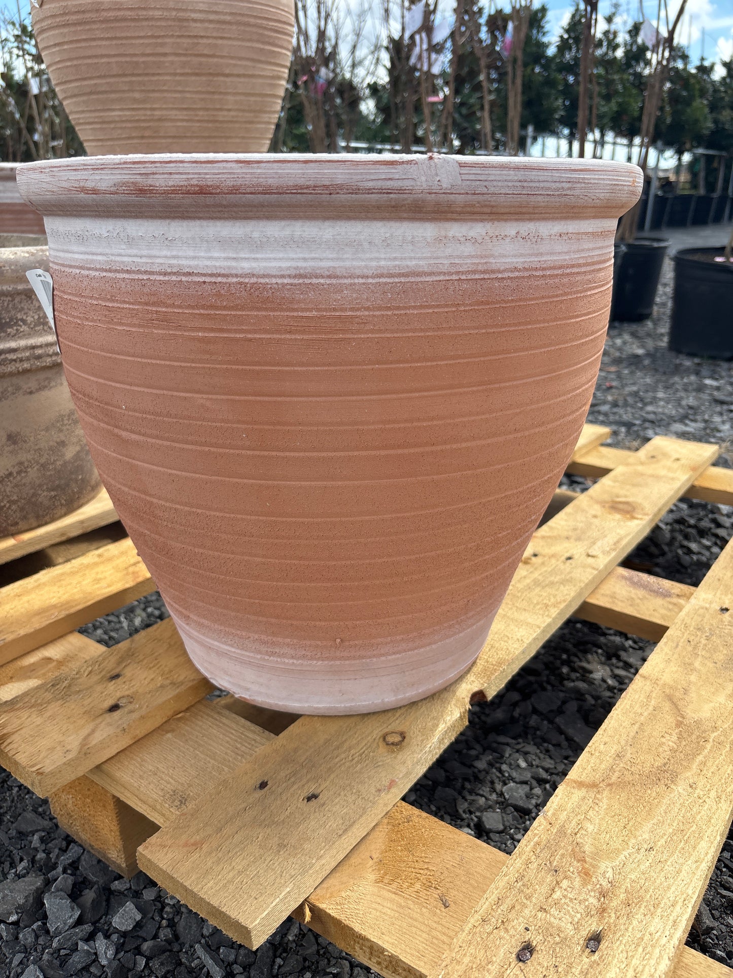 13” Pakistani Salsa Planter