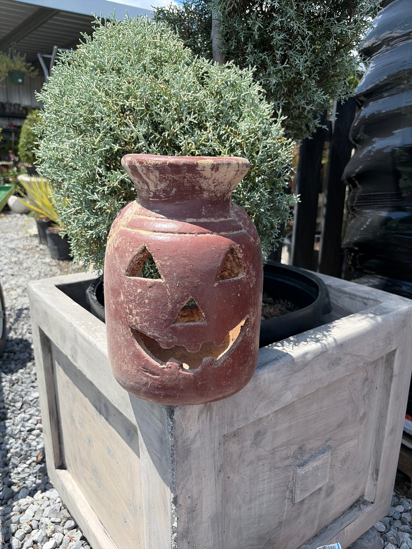 Milk Jug Pumpkin