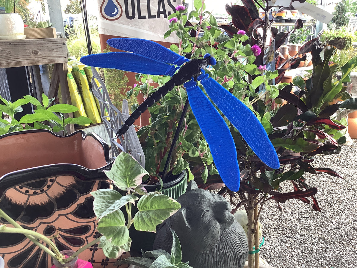 Dragonfly bug repellent