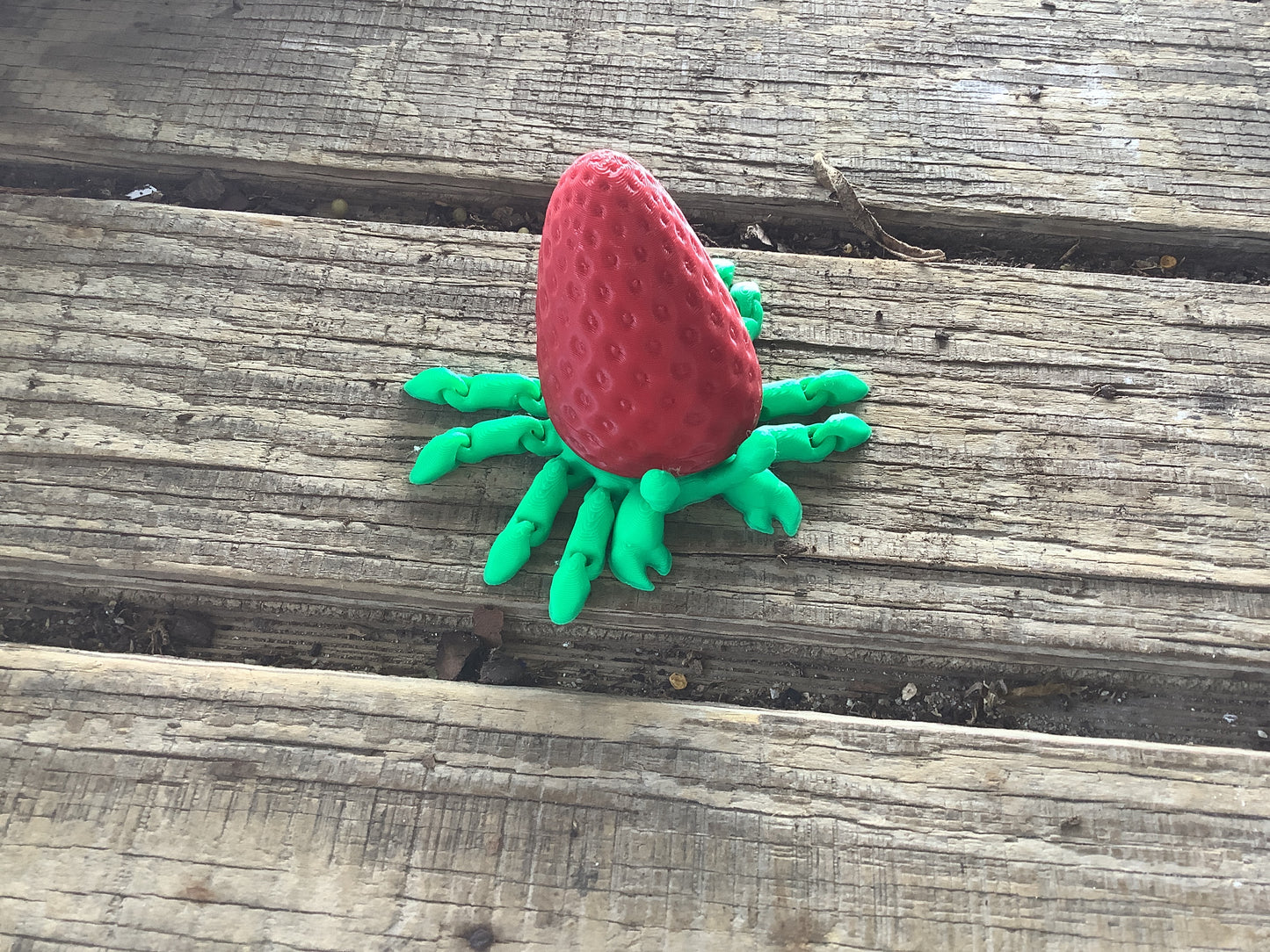 Strawberry crab fidget