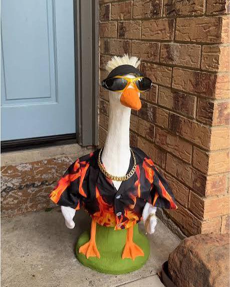 Porch Goose