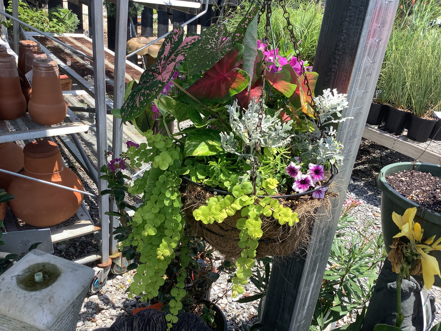 10” Mixmaster Hanging Baskets