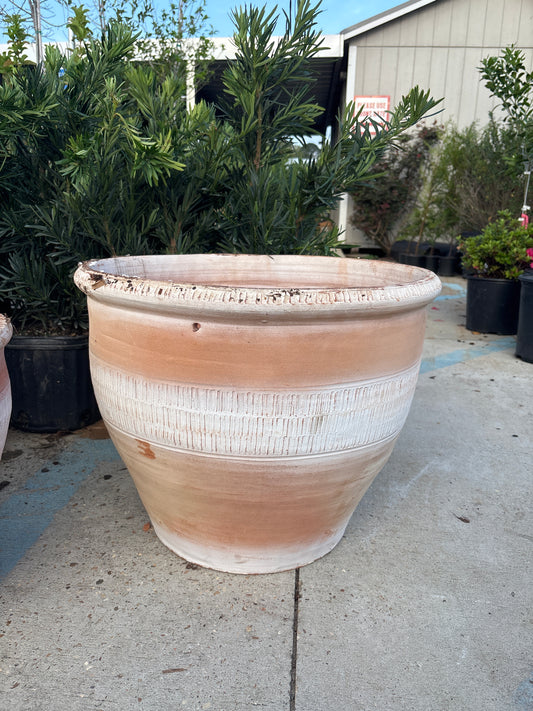 19” Pakistani Caliente Planter