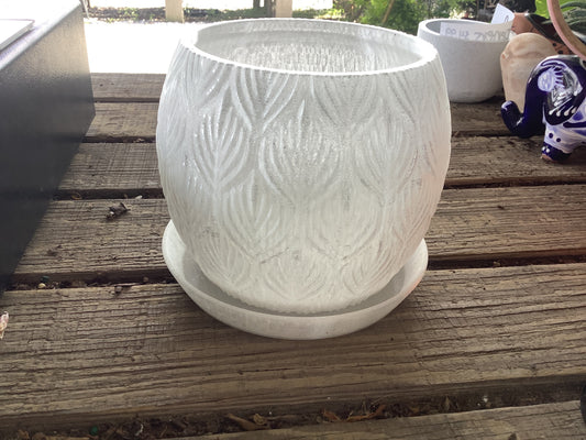 Transparent planter w/drip tray