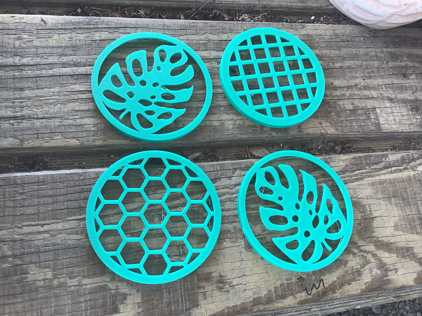 Plant propagation holder