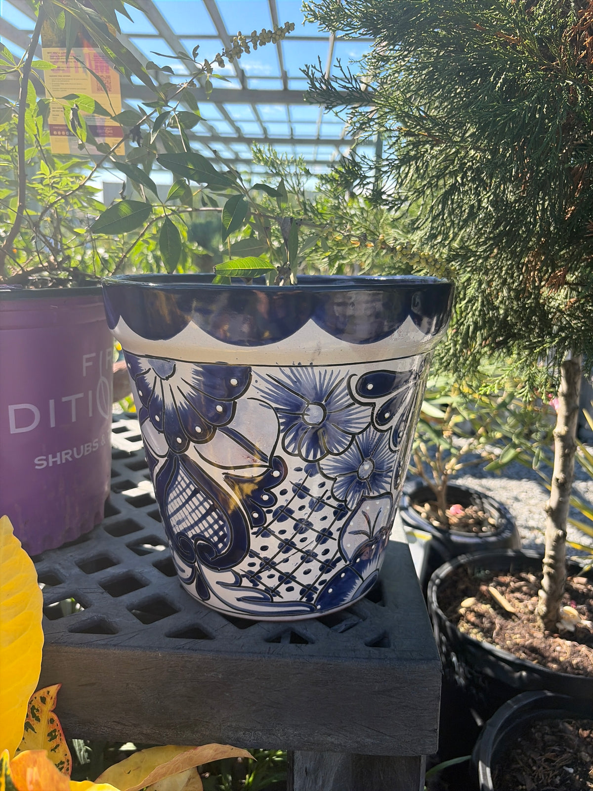 Mexican Pottery Hand-Painted Blue Large