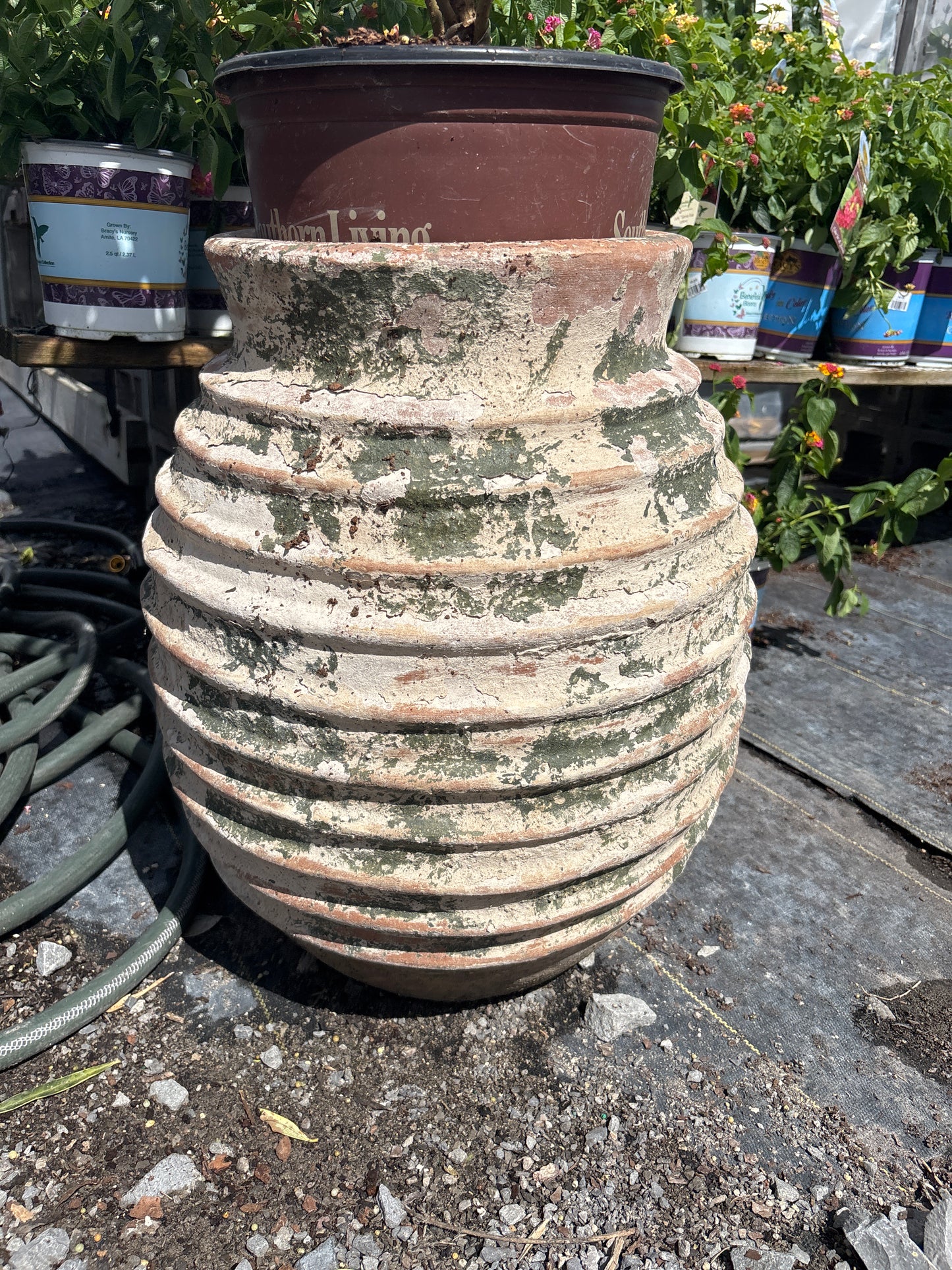 Clay Honeycomb Style Planter