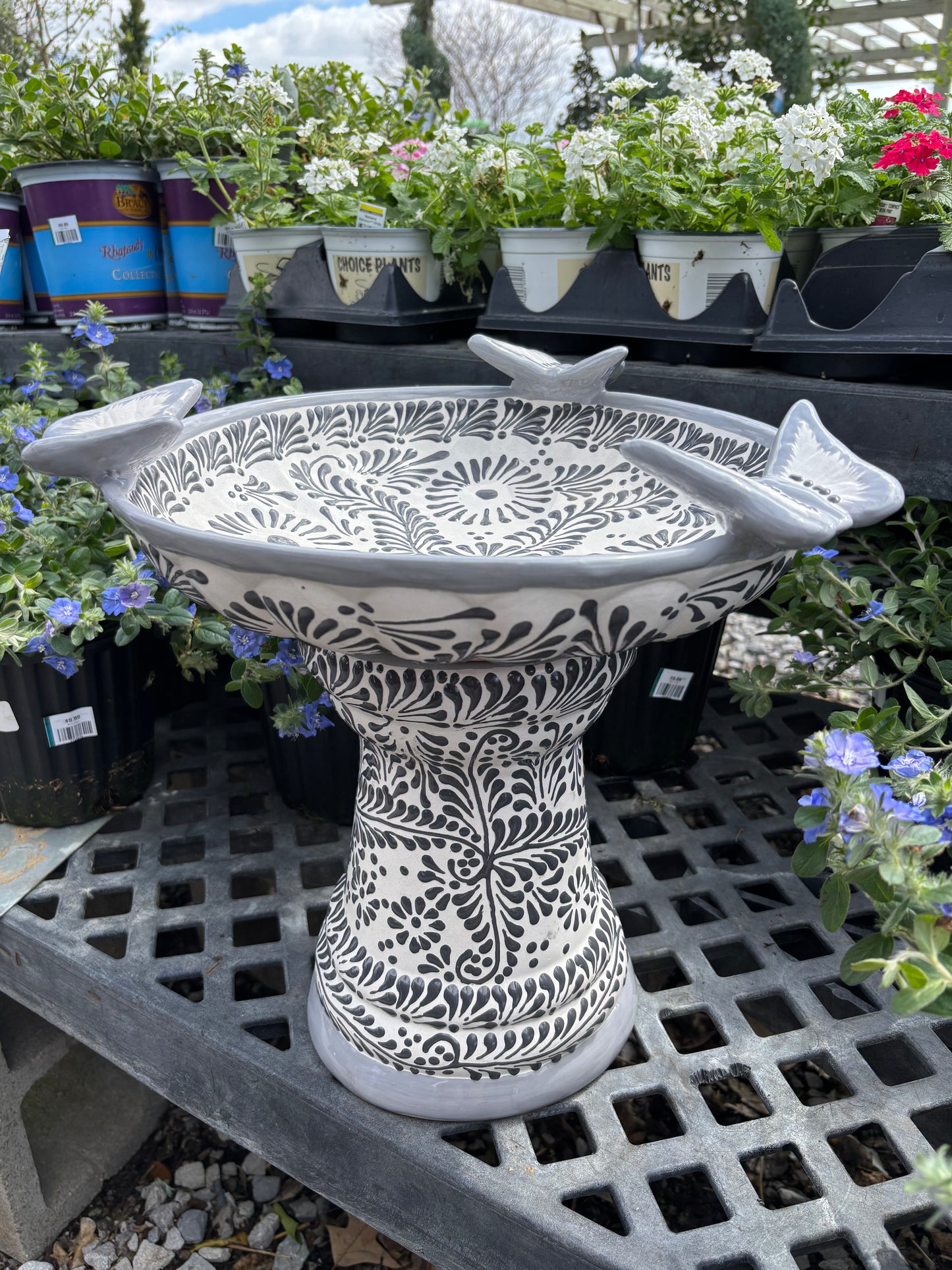 Small Bird Bath