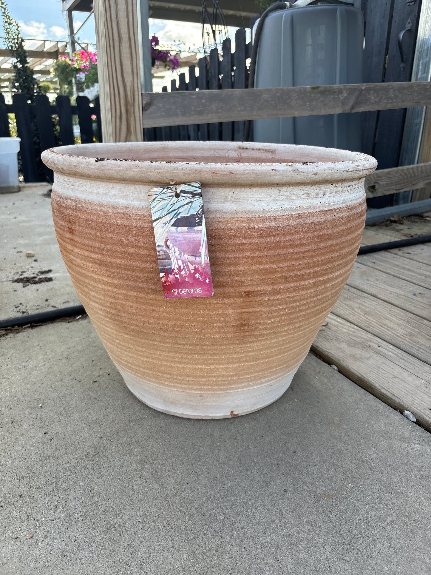 19” Pakistani Salsa Planter