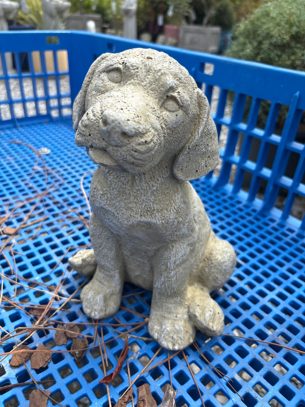 Happy Puppy Statute