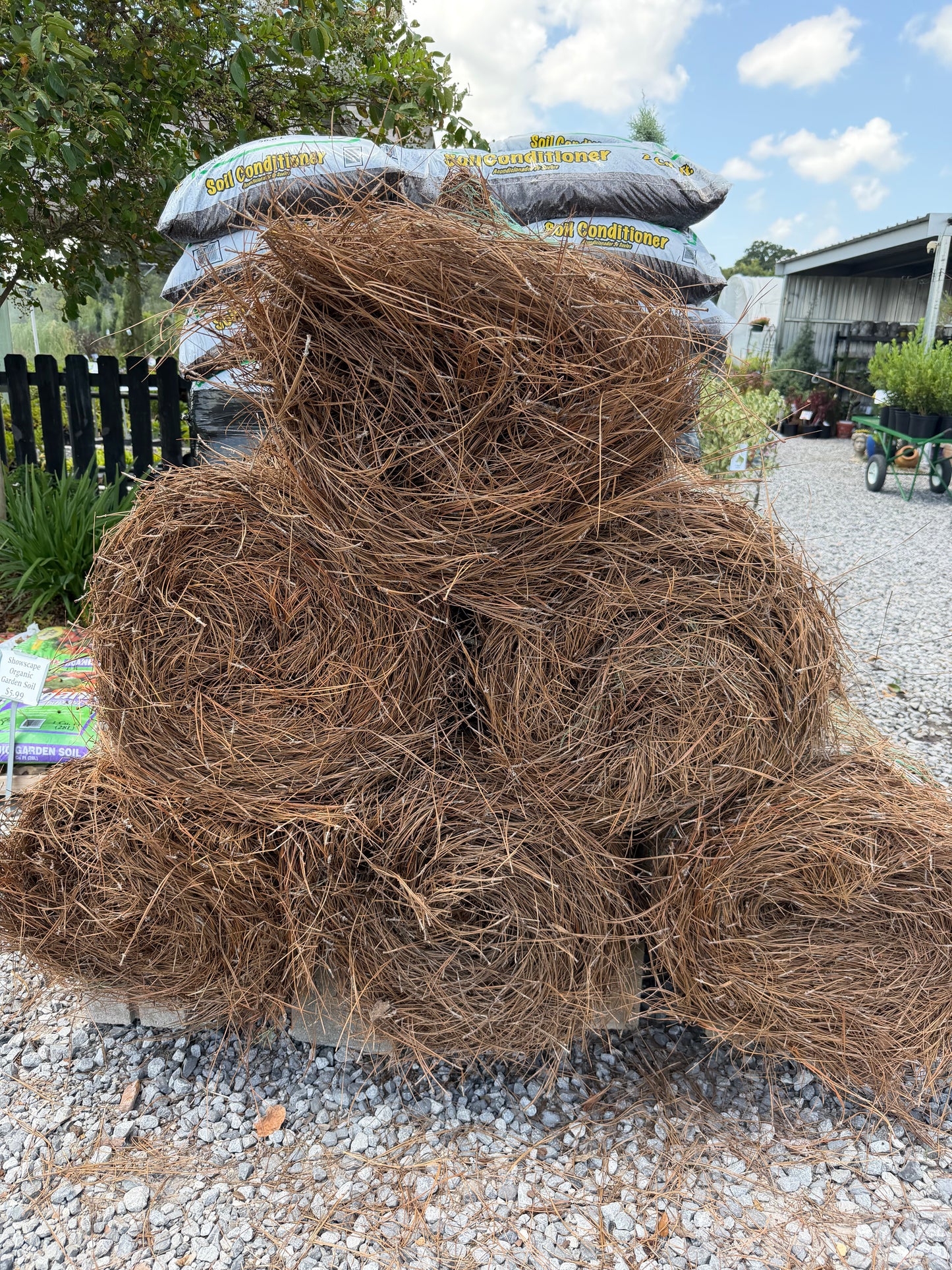 Pine Straw Roll