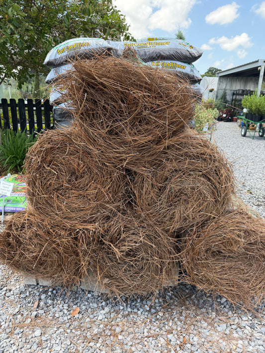 Pine Straw Roll
