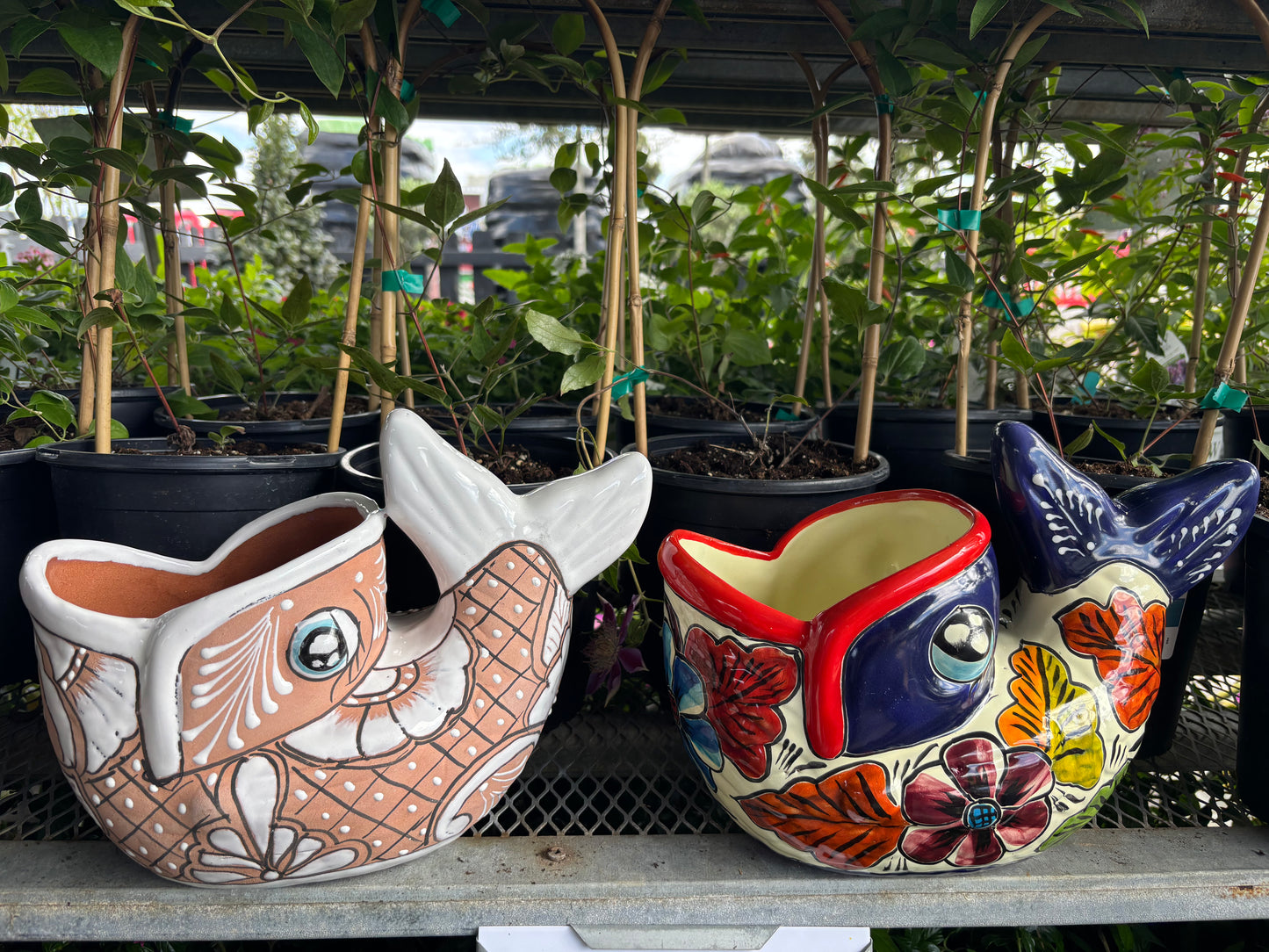 Fish Planter