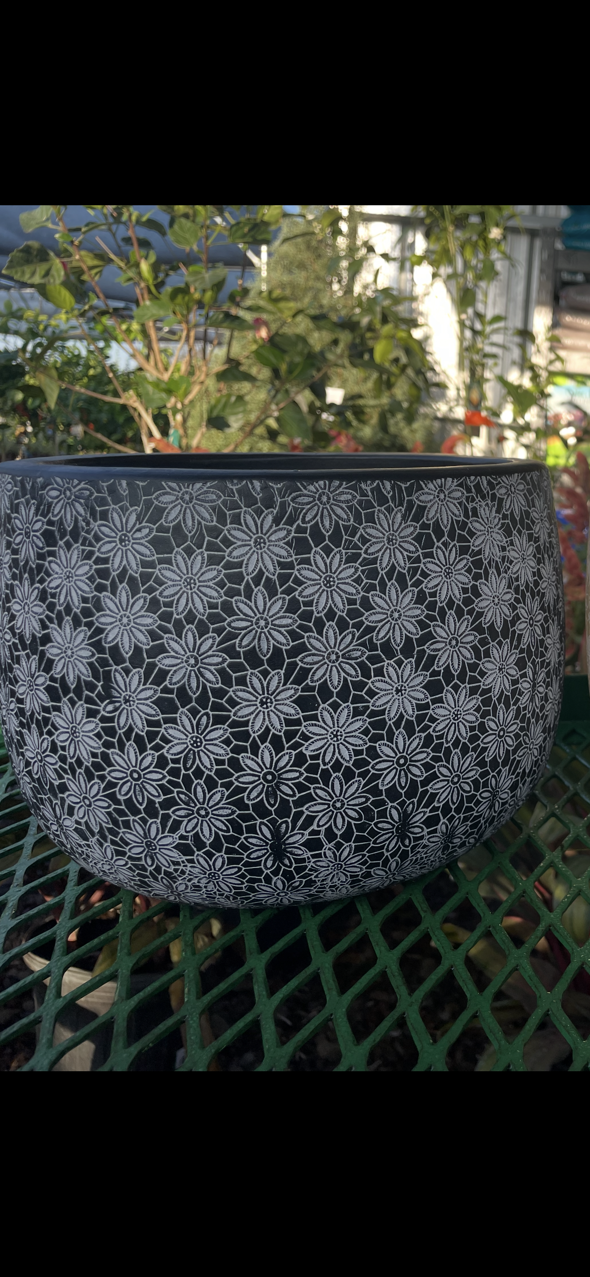 6” Black Daisy Cylinder Planter