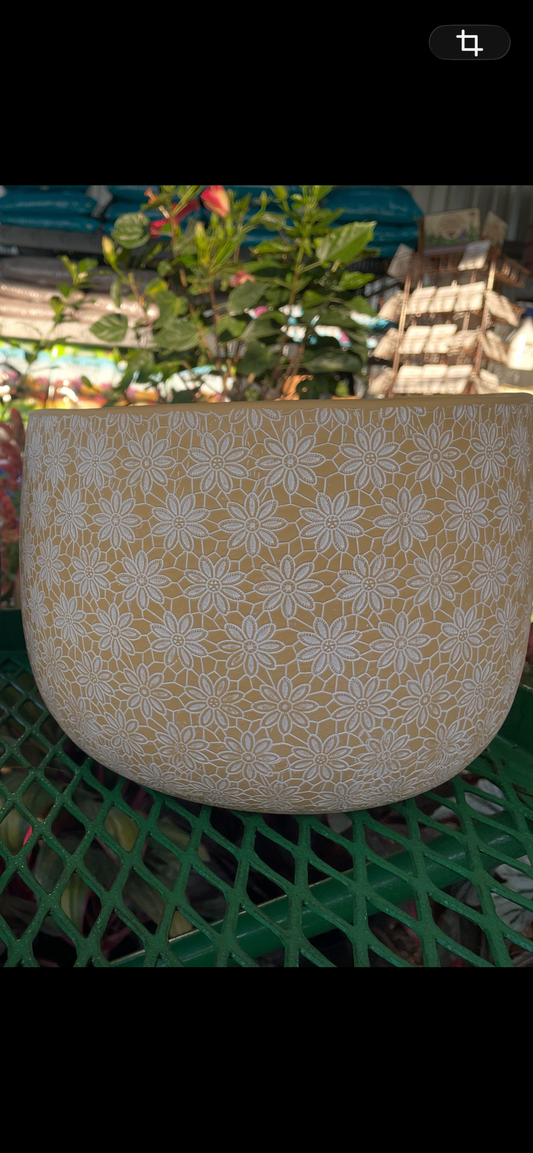 6” Yellow Daisy Cylinder Planter