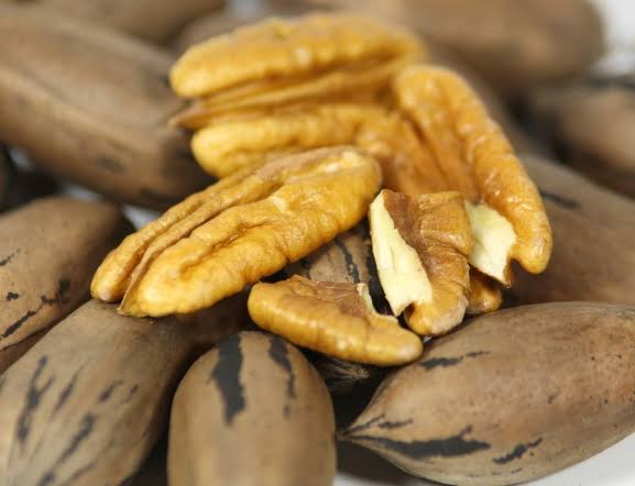 Sumner Pecan Tree