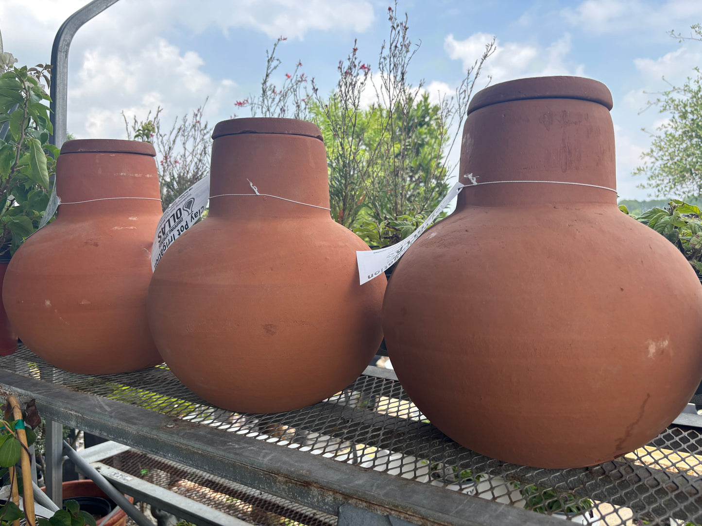 Large Clay Ollas