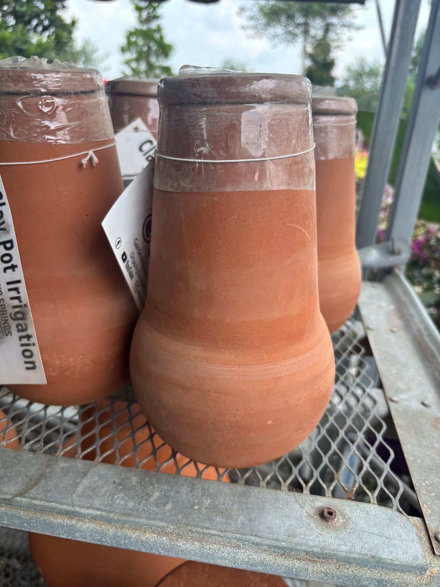 Small Clay Ollas
