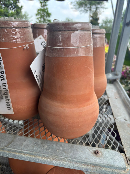 Small Clay Ollas