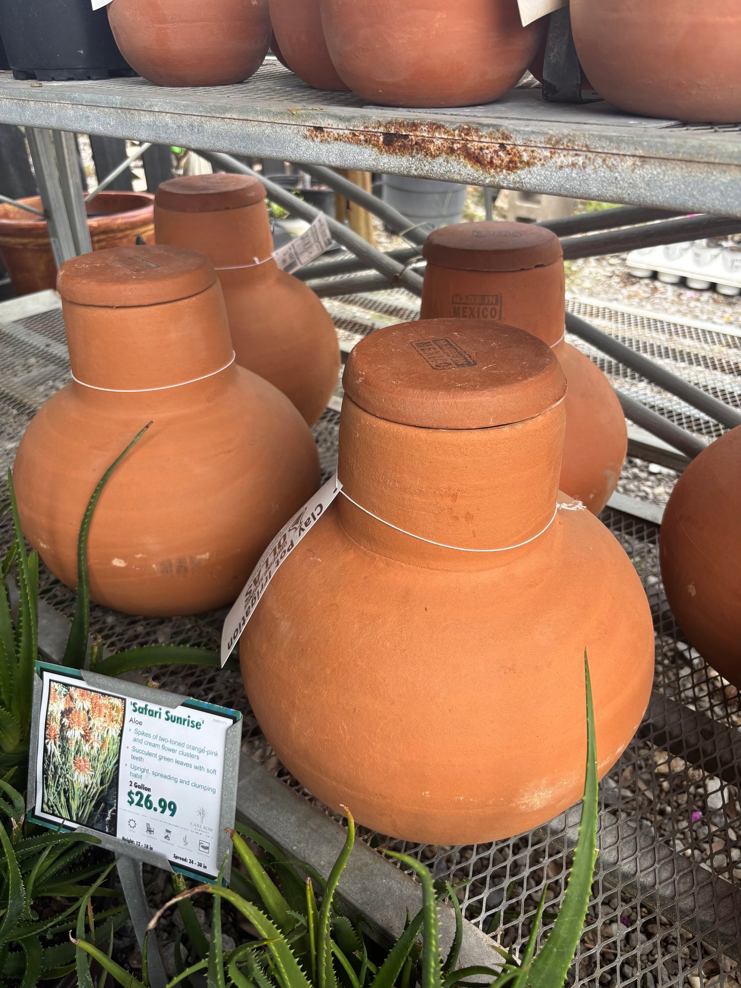 Large Clay Ollas