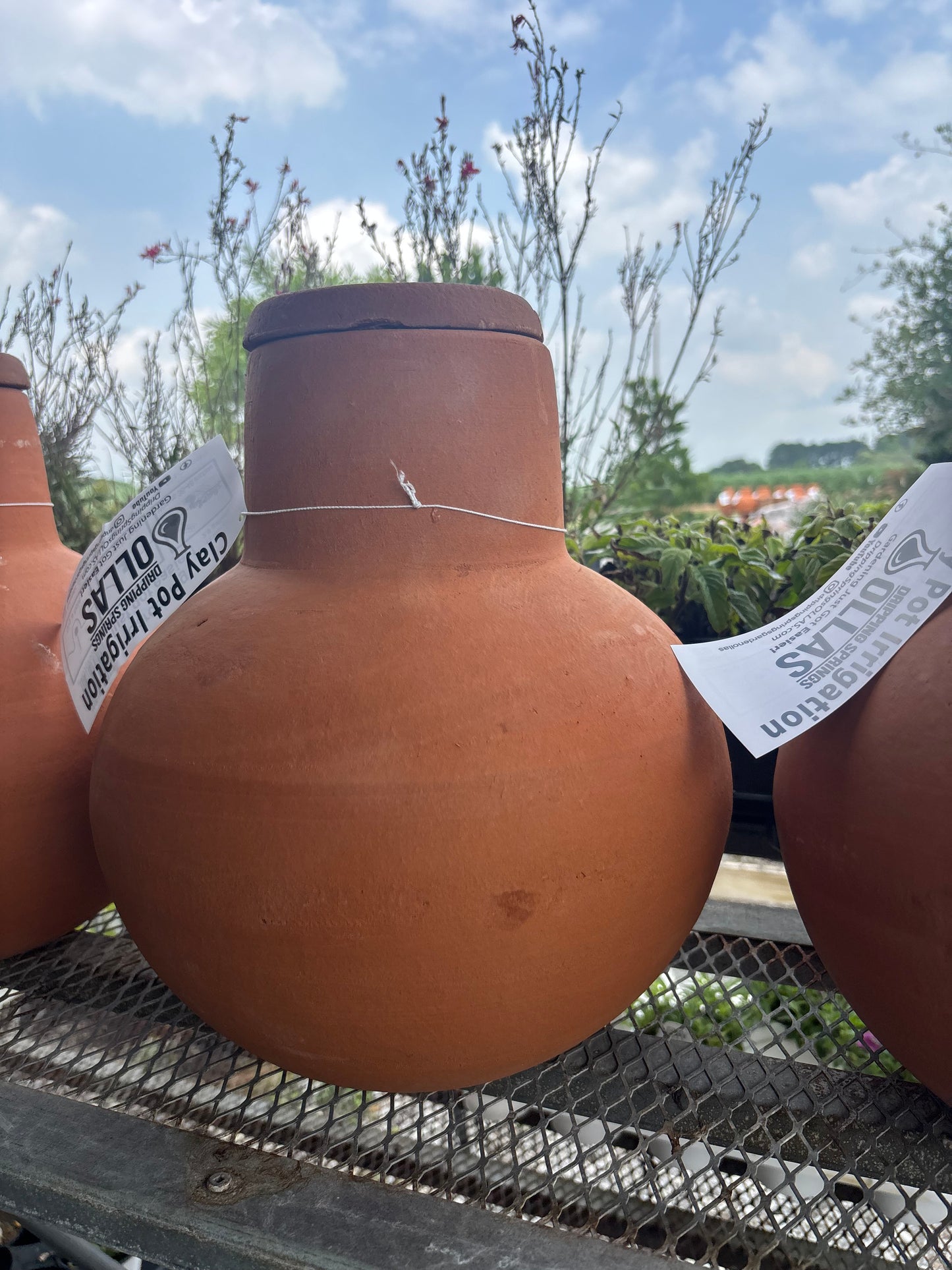 Large Clay Ollas