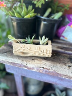 Small Log Planter