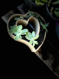Heart Planter