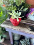 Strawberry Planter