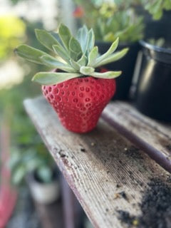 Strawberry Planter