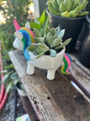 Unicorn Planter